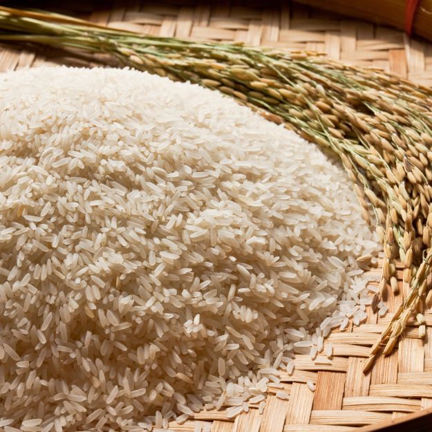 Rice