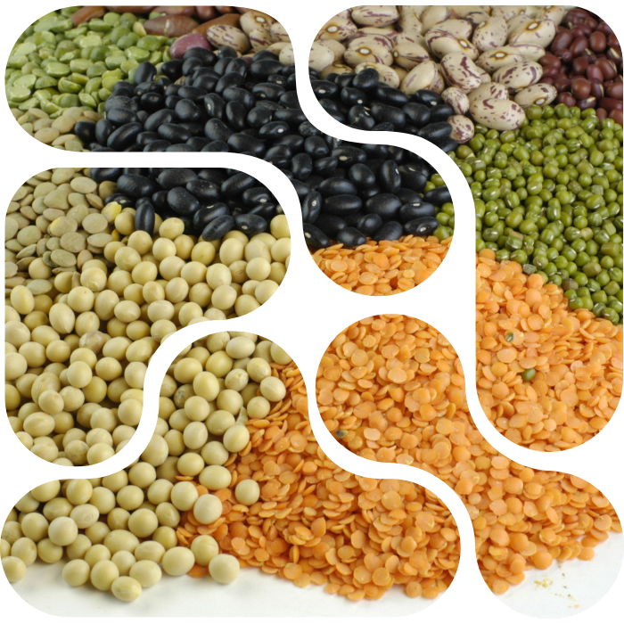 Global Trade and Logistics